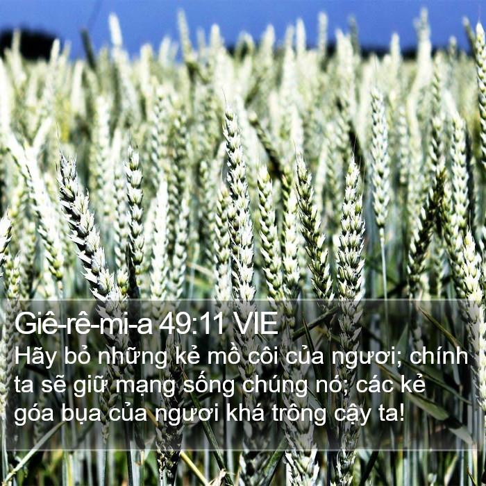 Giê-rê-mi-a 49:11 VIE Bible Study