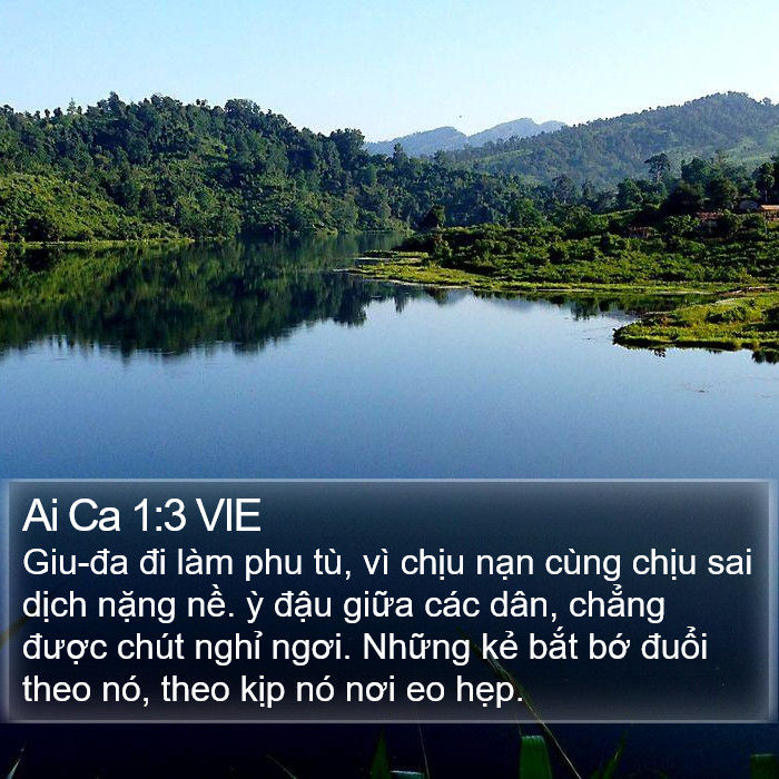 Ai Ca 1:3 VIE Bible Study