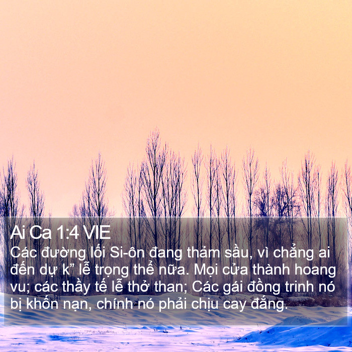 Ai Ca 1:4 VIE Bible Study