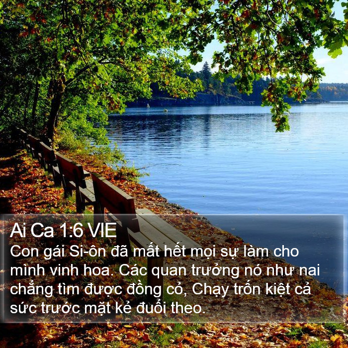 Ai Ca 1:6 VIE Bible Study