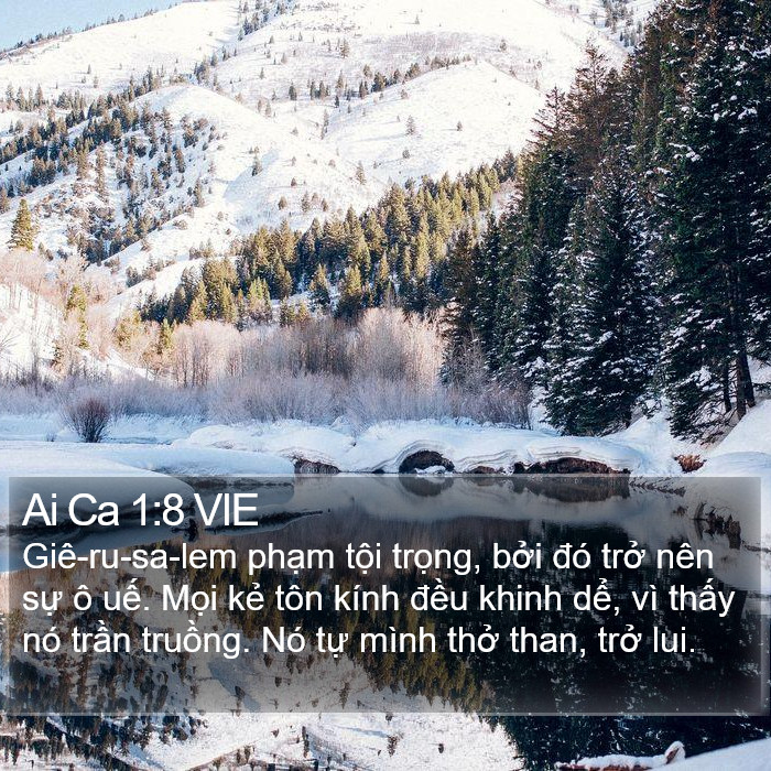 Ai Ca 1:8 VIE Bible Study