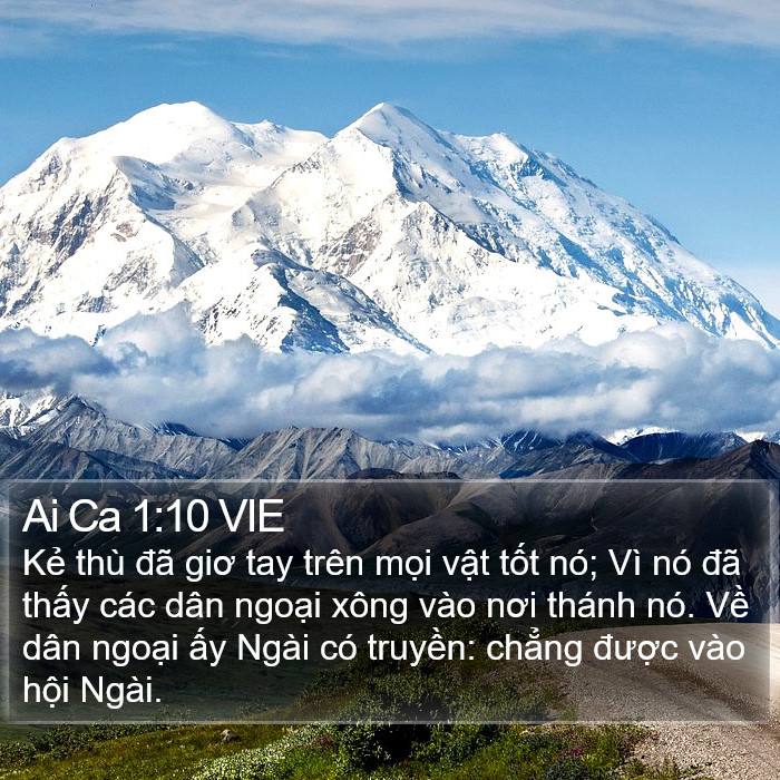 Ai Ca 1:10 VIE Bible Study