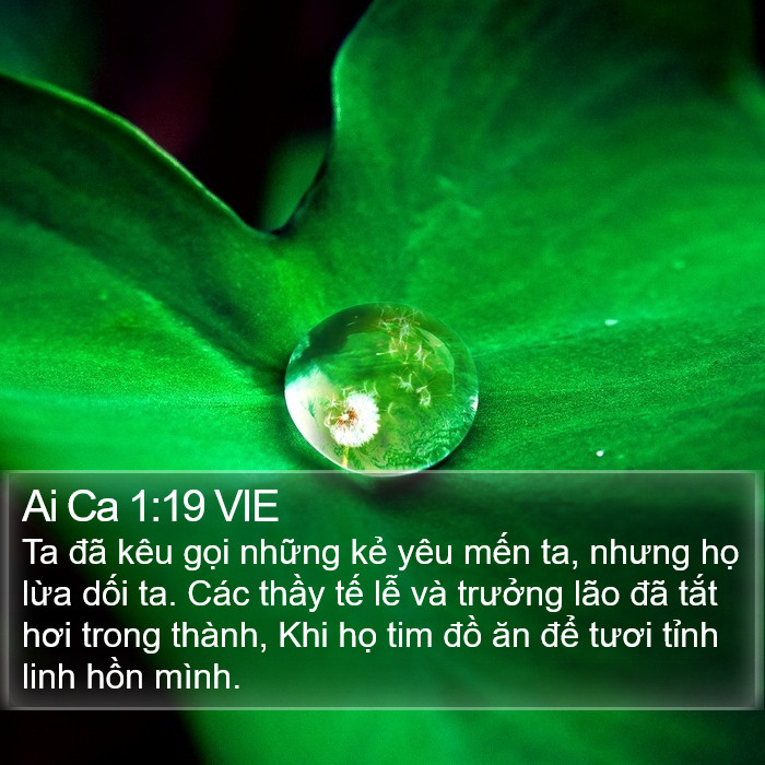 Ai Ca 1:19 VIE Bible Study