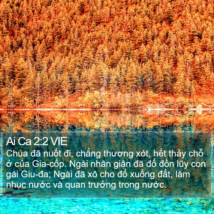 Ai Ca 2:2 VIE Bible Study