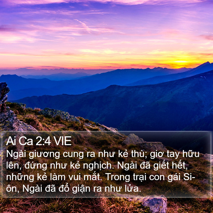 Ai Ca 2:4 VIE Bible Study