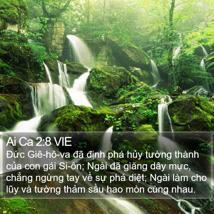 Ai Ca 2:8 VIE Bible Study