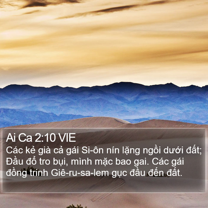 Ai Ca 2:10 VIE Bible Study