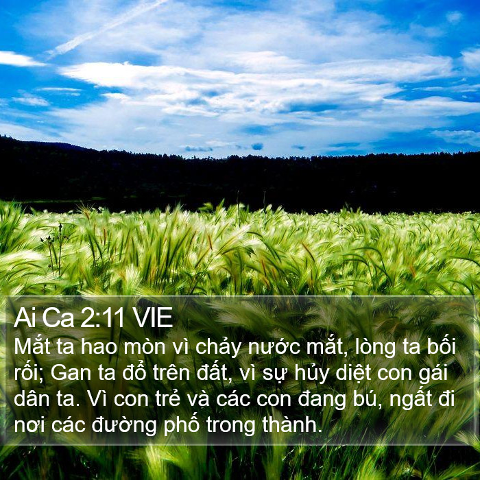 Ai Ca 2:11 VIE Bible Study