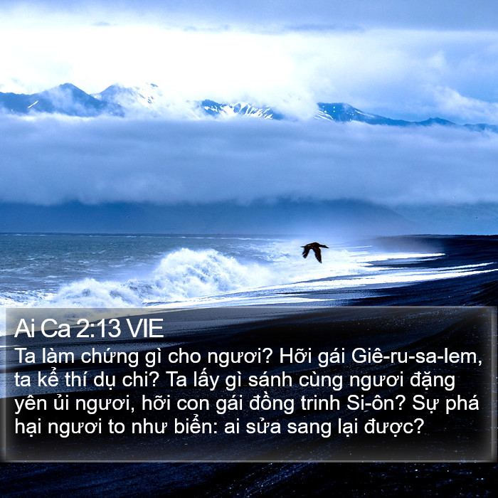 Ai Ca 2:13 VIE Bible Study