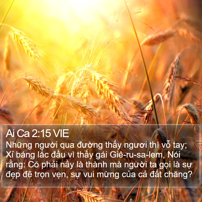 Ai Ca 2:15 VIE Bible Study