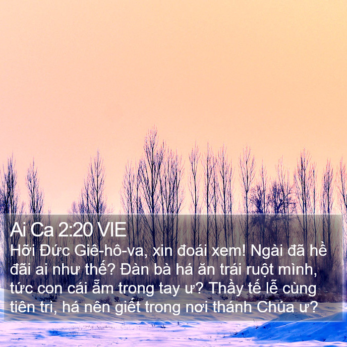 Ai Ca 2:20 VIE Bible Study