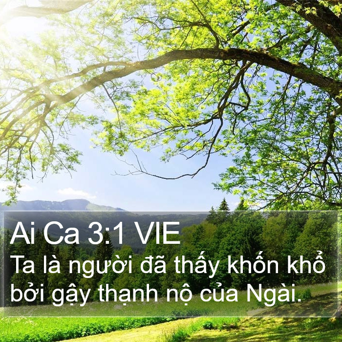 Ai Ca 3:1 VIE Bible Study