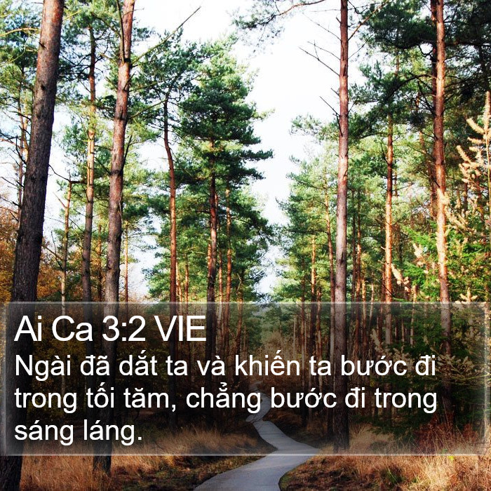 Ai Ca 3:2 VIE Bible Study