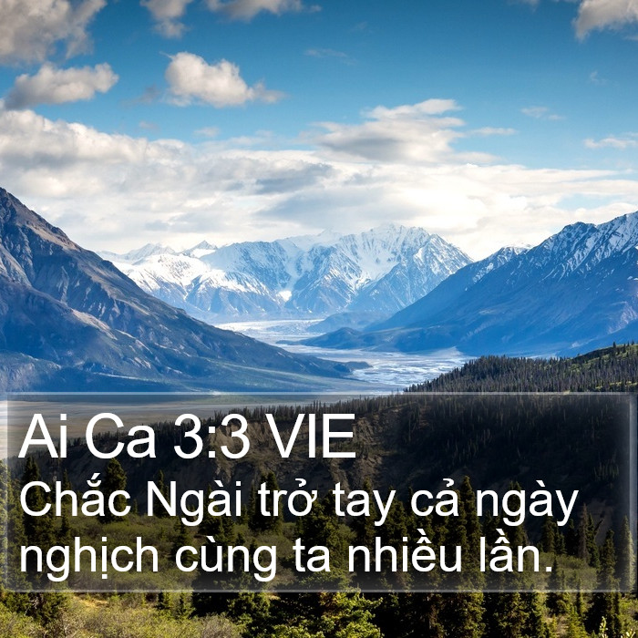 Ai Ca 3:3 VIE Bible Study