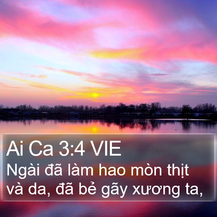 Ai Ca 3:4 VIE Bible Study