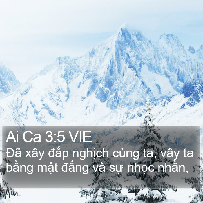 Ai Ca 3:5 VIE Bible Study