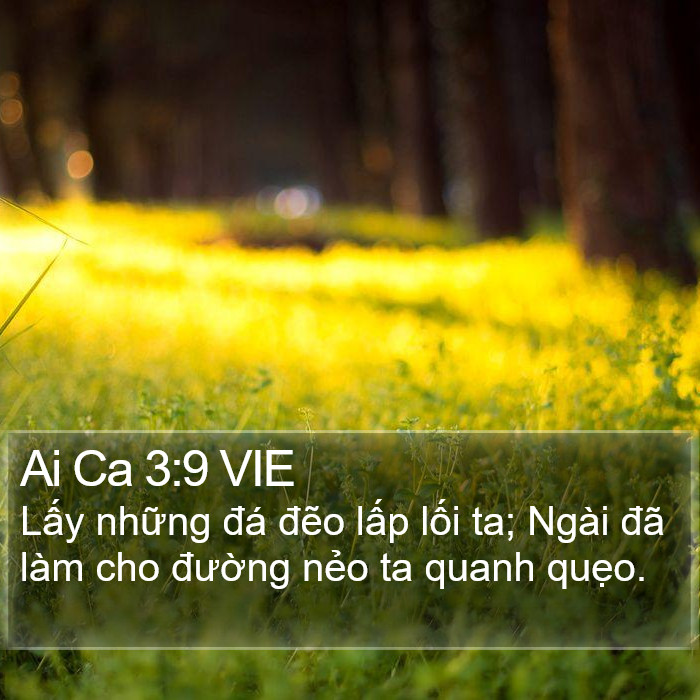 Ai Ca 3:9 VIE Bible Study