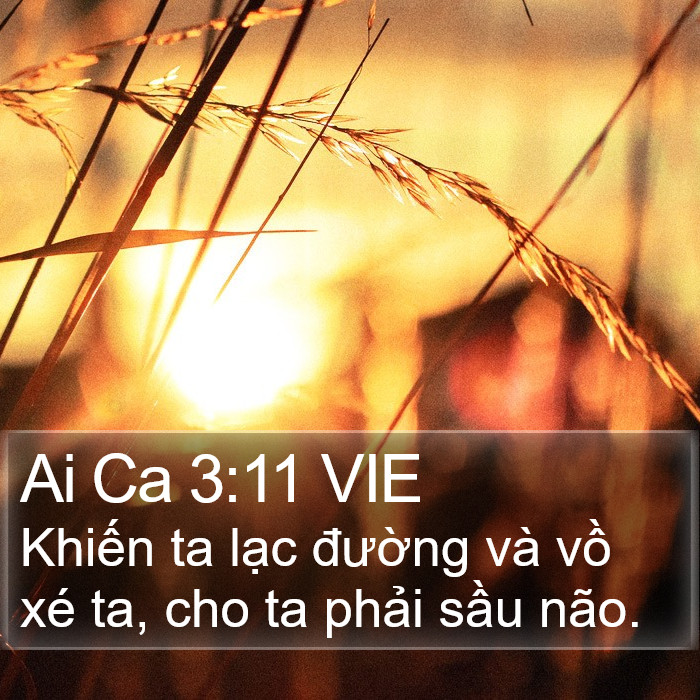 Ai Ca 3:11 VIE Bible Study