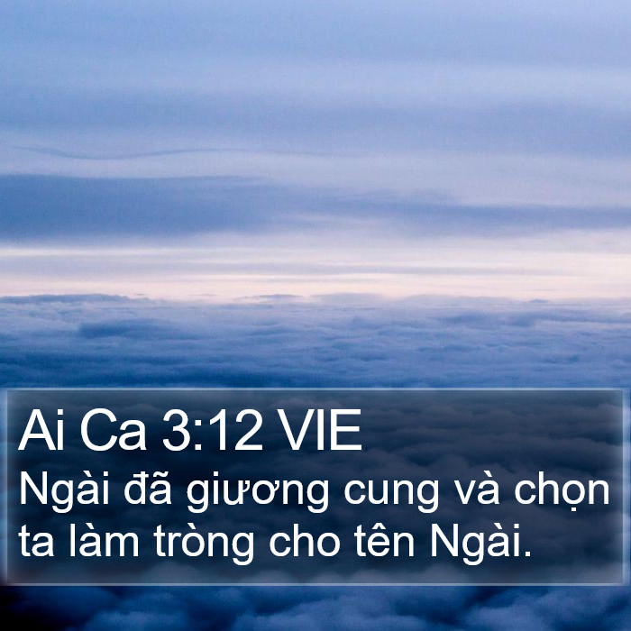 Ai Ca 3:12 VIE Bible Study