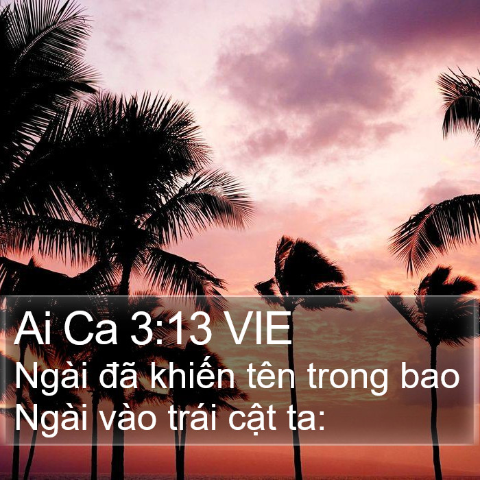 Ai Ca 3:13 VIE Bible Study