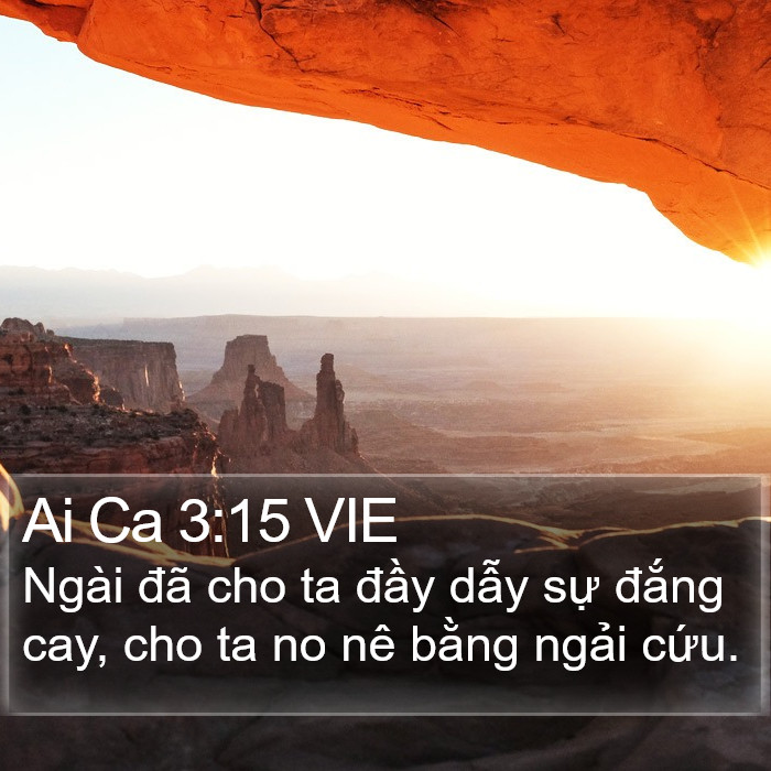 Ai Ca 3:15 VIE Bible Study