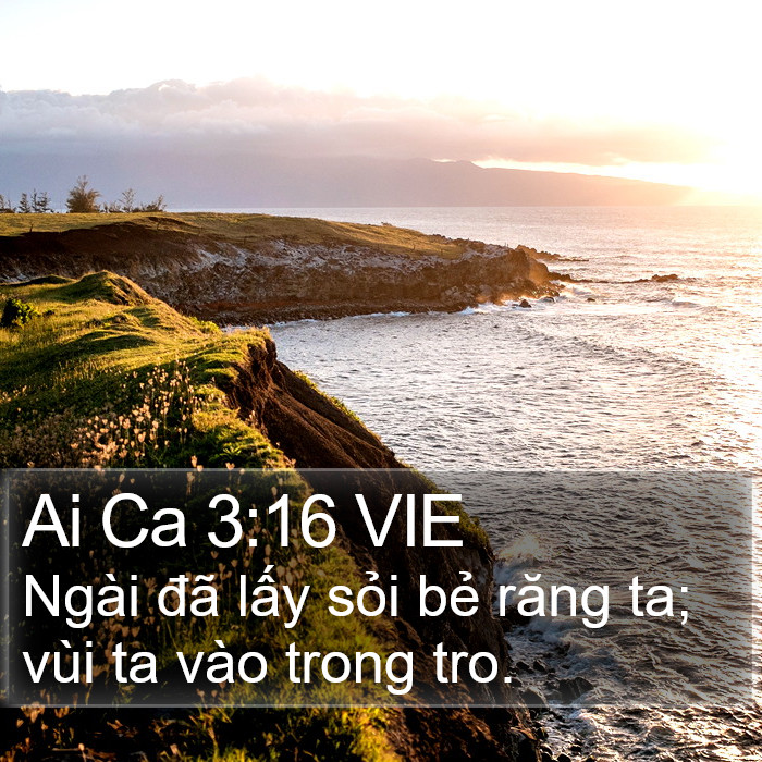 Ai Ca 3:16 VIE Bible Study