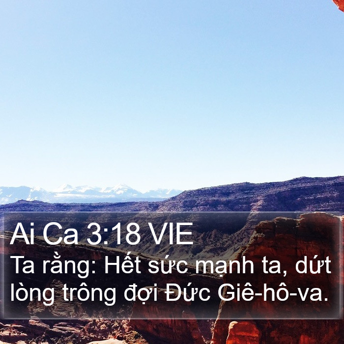 Ai Ca 3:18 VIE Bible Study