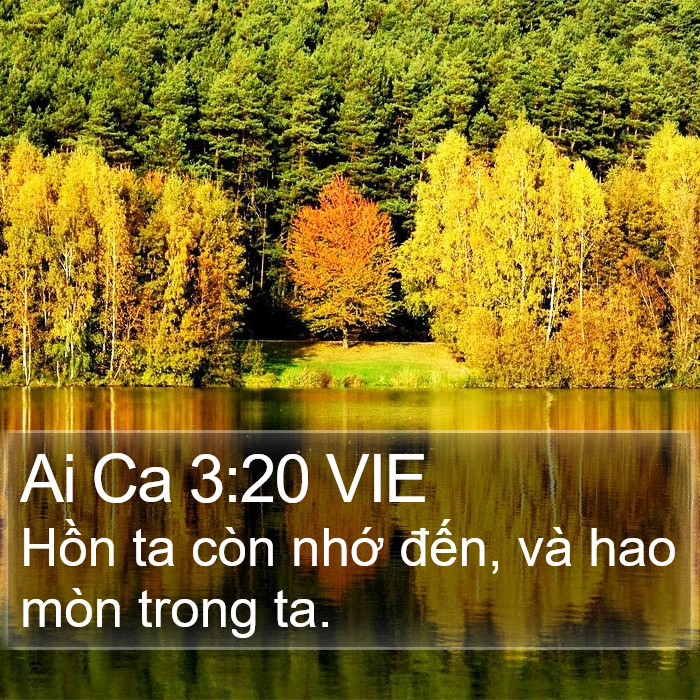 Ai Ca 3:20 VIE Bible Study