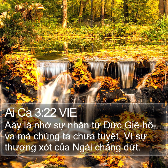 Ai Ca 3:22 VIE Bible Study