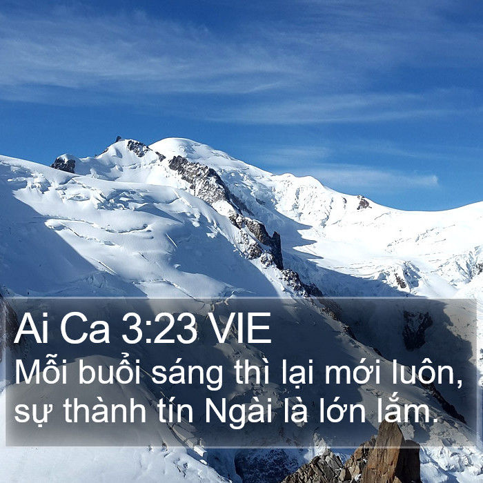 Ai Ca 3:23 VIE Bible Study