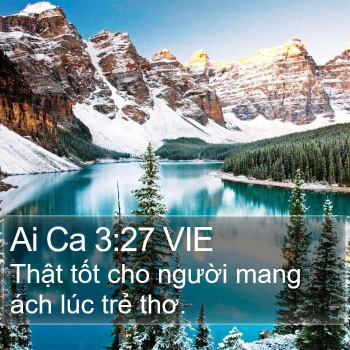 Ai Ca 3:27 VIE Bible Study