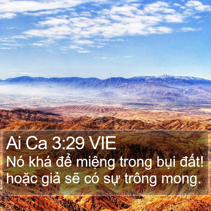 Ai Ca 3:29 VIE Bible Study