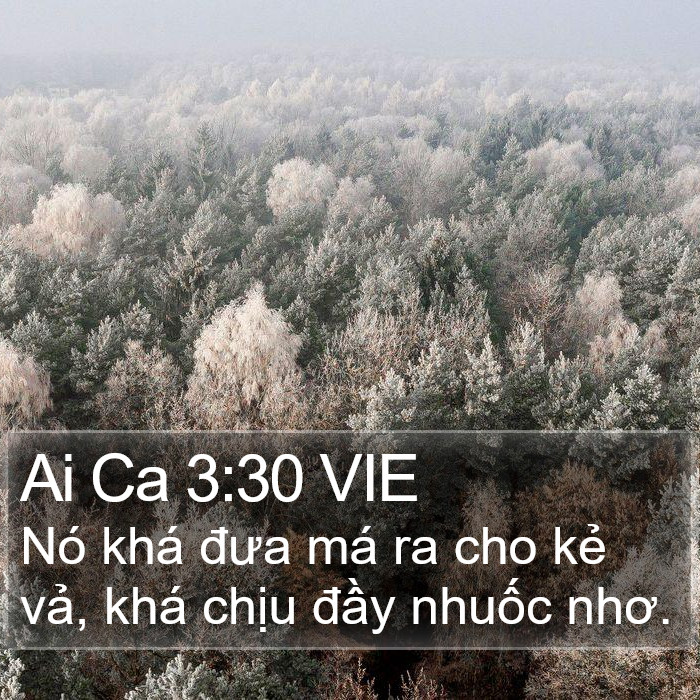 Ai Ca 3:30 VIE Bible Study