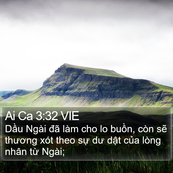 Ai Ca 3:32 VIE Bible Study