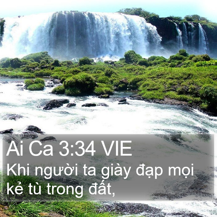 Ai Ca 3:34 VIE Bible Study