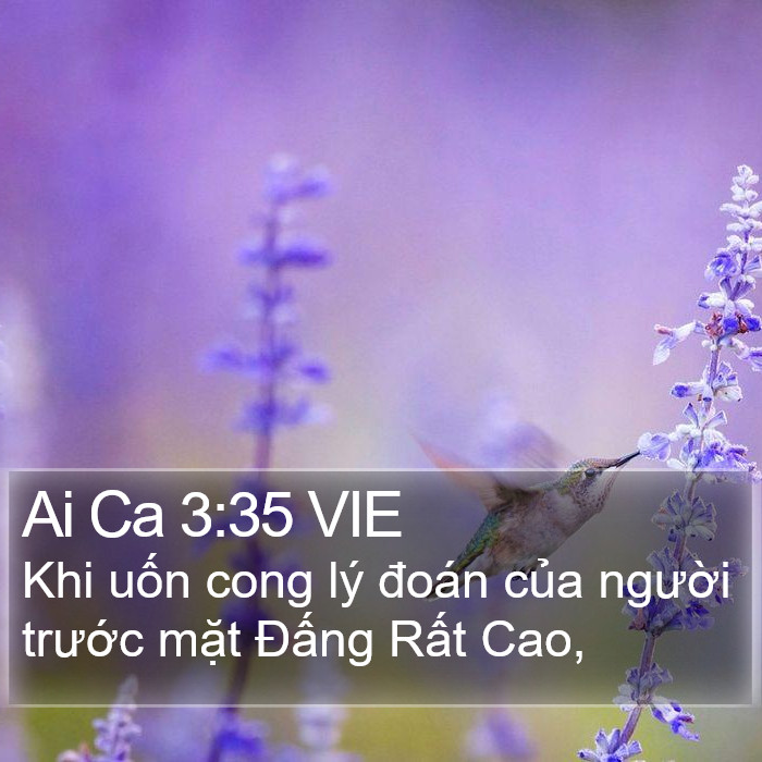 Ai Ca 3:35 VIE Bible Study