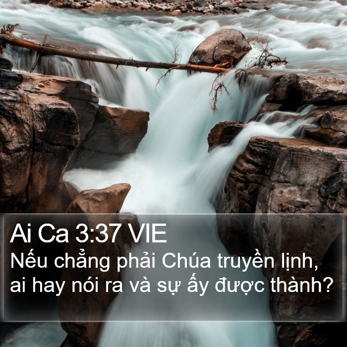 Ai Ca 3:37 VIE Bible Study