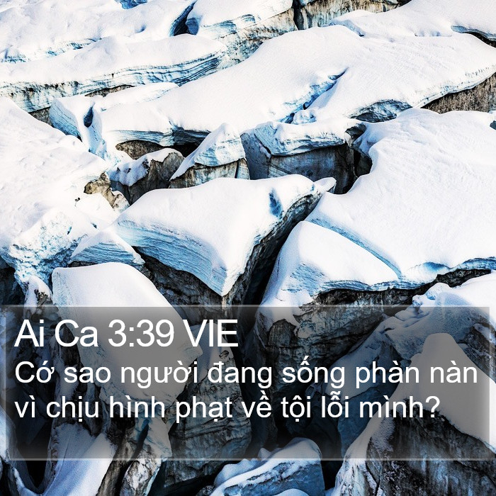 Ai Ca 3:39 VIE Bible Study