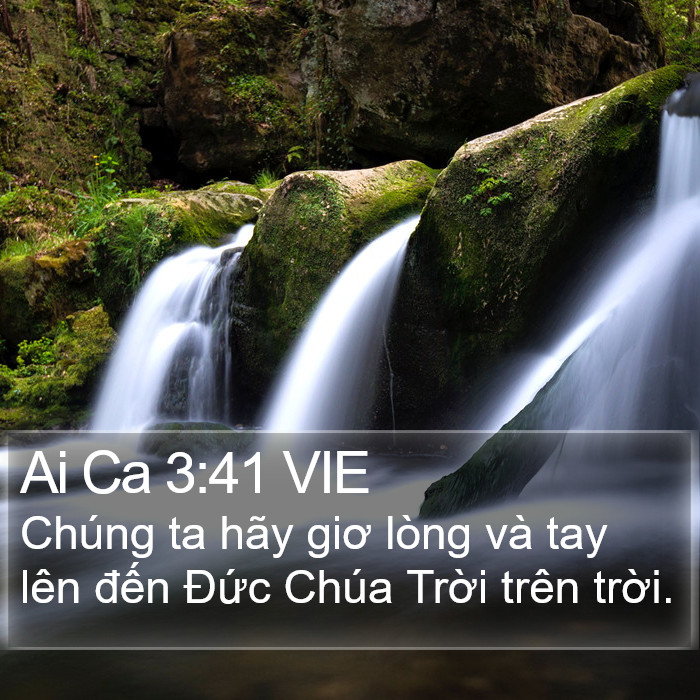 Ai Ca 3:41 VIE Bible Study