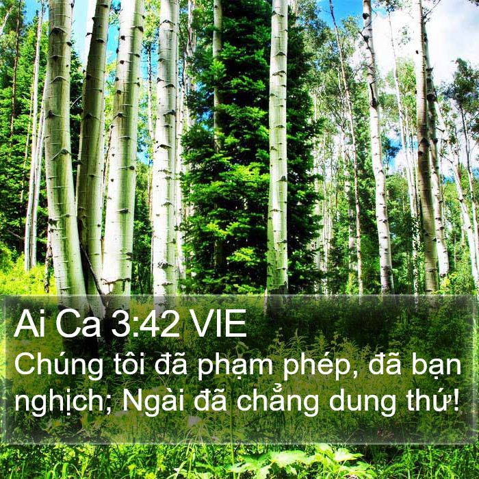 Ai Ca 3:42 VIE Bible Study