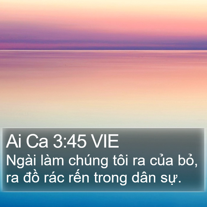 Ai Ca 3:45 VIE Bible Study