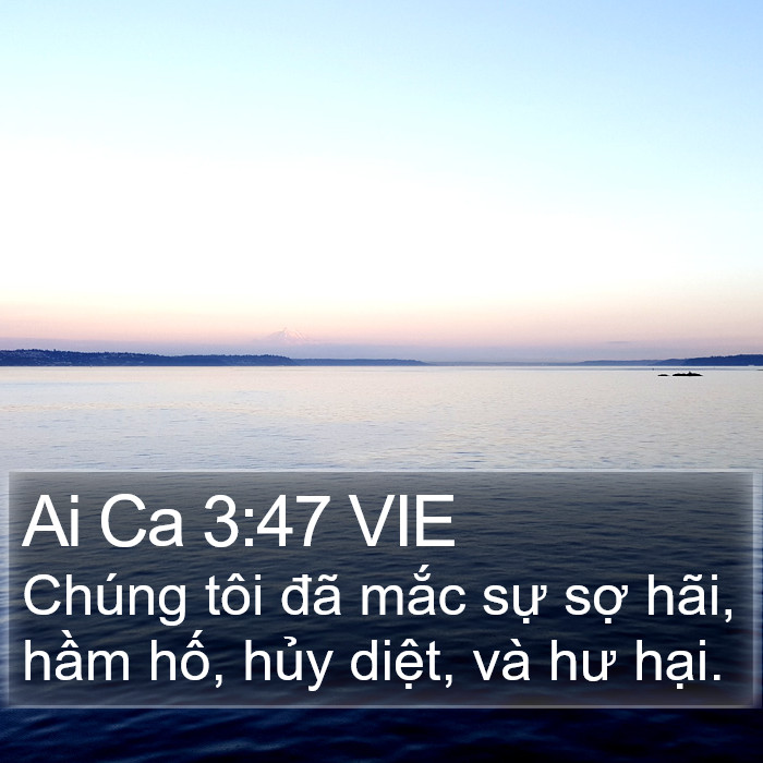 Ai Ca 3:47 VIE Bible Study