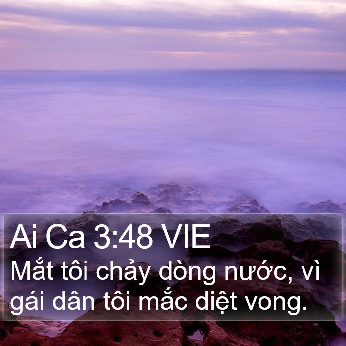 Ai Ca 3:48 VIE Bible Study