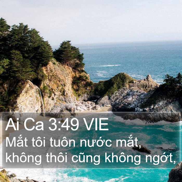 Ai Ca 3:49 VIE Bible Study