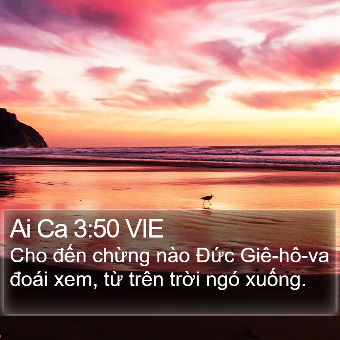 Ai Ca 3:50 VIE Bible Study