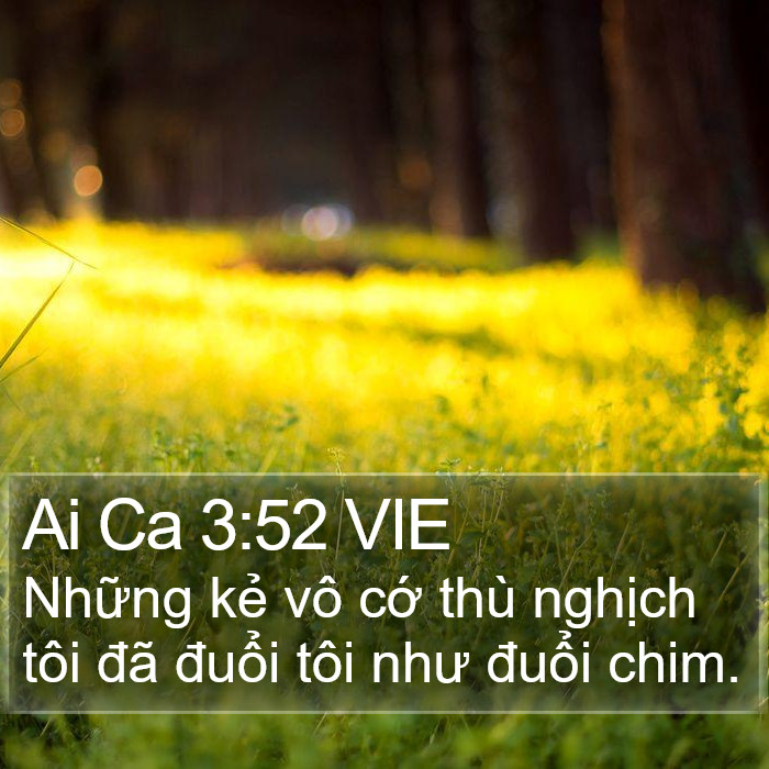 Ai Ca 3:52 VIE Bible Study