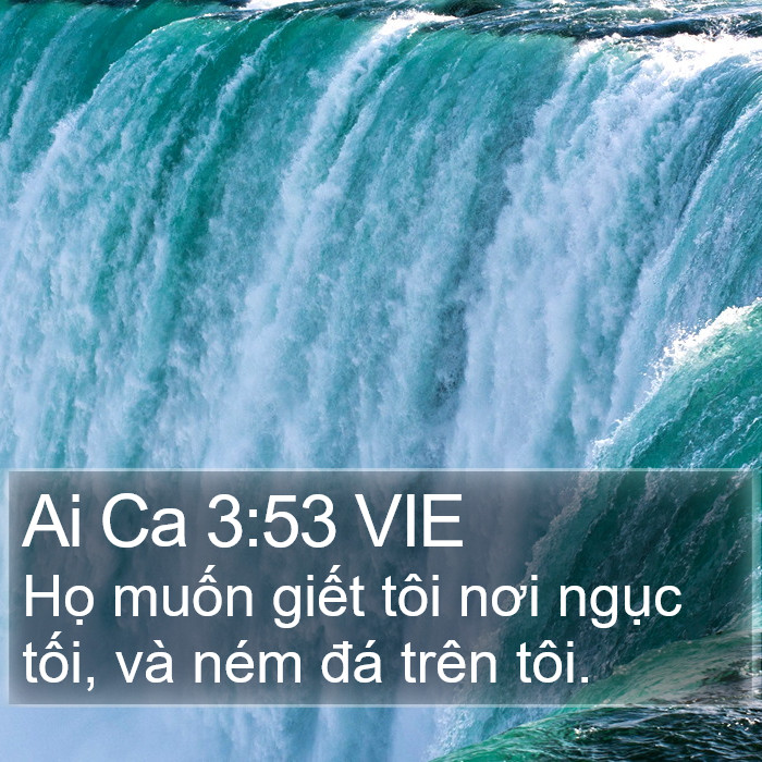 Ai Ca 3:53 VIE Bible Study