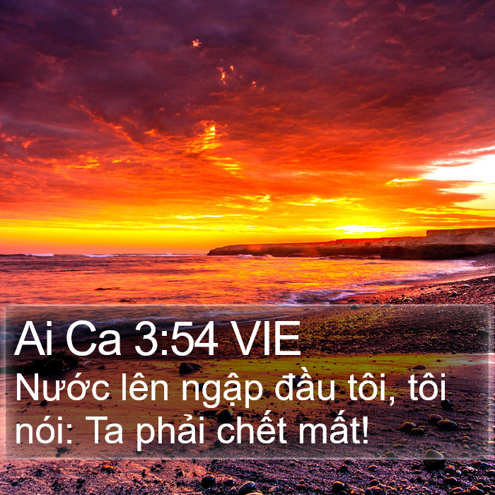 Ai Ca 3:54 VIE Bible Study