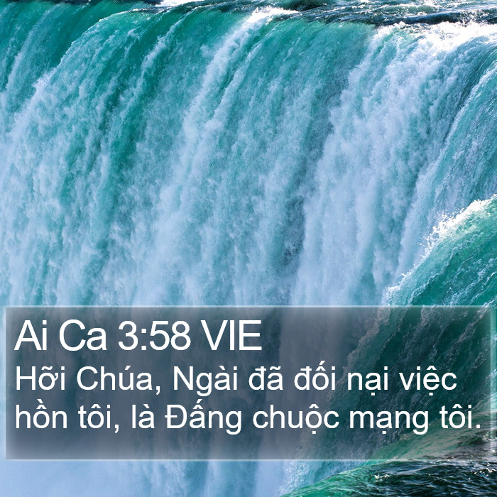 Ai Ca 3:58 VIE Bible Study