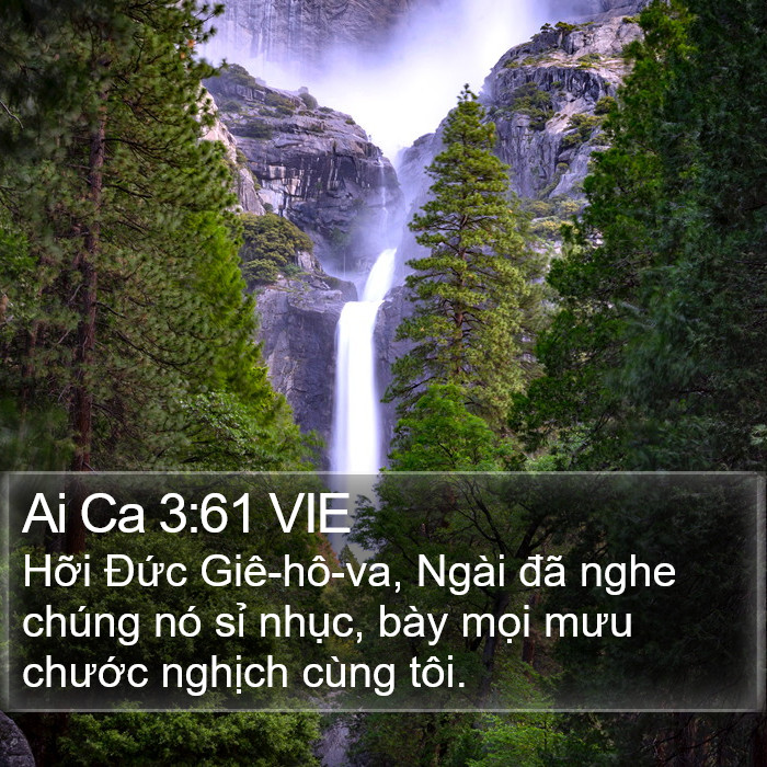 Ai Ca 3:61 VIE Bible Study